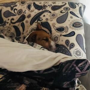 Meet your Posher, Angelo